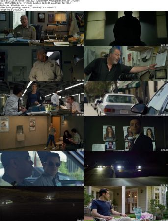 The Little Things 2021 720p HMAX WEBRip AAC2.0 X264-EVO