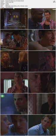 The Collector S02 DVDRip XViD-NOGRP