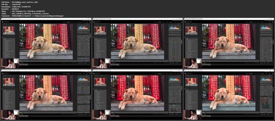 Editing with Adobe Lightroom CC - Complete Guide from Start to Finish!