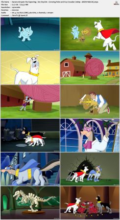 Krypto the Superdog S02 1080p Web-DL x264-NOGRP