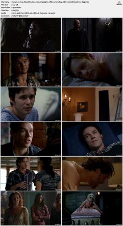 True Blood S04 BluRay 10Bit 1080p DD5.1 H265-d3g