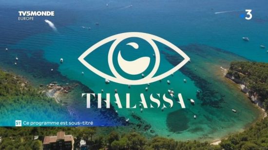 TV5Monde Thalassa - De Marseille à Toulon (2020) 720p x265 AAC MVGroup