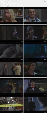 The Collector S02 DVDRip XViD-NOGRP