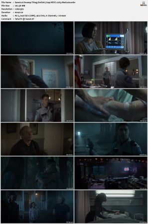 Swamp Thing S01 720p x265-MeGusta