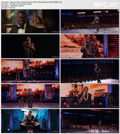 Kevin Hart What Now 2016 1080p BluRay x265-RARBG