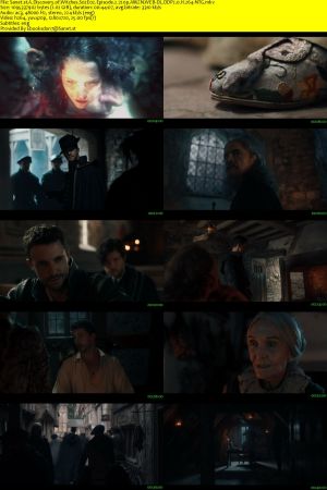 A Discovery of Witches S02E02 Episode 2 720p AMZN WEB-DL DDP2.0 H264-NTG