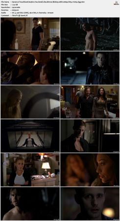 True Blood S04 BluRay 10Bit 1080p DD5.1 H265-d3g