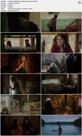 Trickster 2020 S01 BDRip x264-CARVED