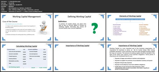 Working Capital Management (Acca F9 Financial Management)