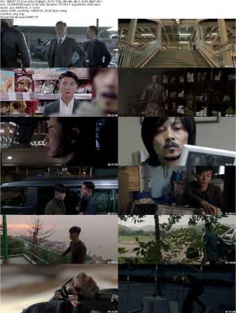 Invincible Dragon 2019 720p Bluray AC3 x264-AdiT
