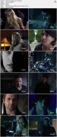 The Collector S03 DVDRip XViD-NOGRP