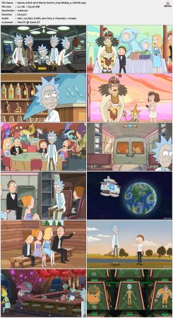 Rick And Morty S02 720p BluRay H264 5.1 BONE