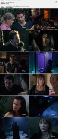 The Collector S03 DVDRip XViD-NOGRP