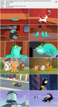 Krypto the Superdog S02 1080p Web-DL x264-NOGRP