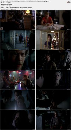 True Blood S05 BluRay 10Bit 1080p DD5.1 H265-d3g