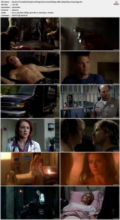 True Blood S03 BluRay 10Bit 1080p DD5.1 H265-d3g