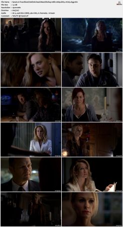 True Blood S06 BluRay 10Bit 1080p DD5.1 H265-d3g