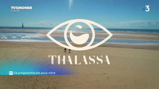TV5Monde Thalassa - De Royan aux Sables d'Olonne (2020) 720p x265 AAC MVGroup