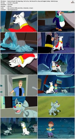 Krypto the Superdog S01 1080p Web-DL x264-NOGRP
