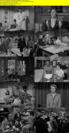 Room for One More 1952 BRRip XviD MP3-XVID