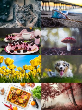 5K Ultra HD Wallpapers #11