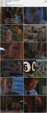 The Collector S02 DVDRip XViD-NOGRP
