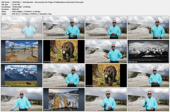 Uncovering The Magic of Yellowstone and Grand Tetons