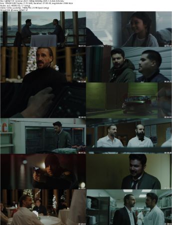 Simmer 2021 1080p WEBRip DD5.1 X264-EVO