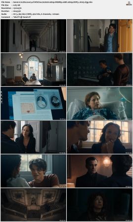 A Discovery of Witches S02 WEBRip 10Bit 1080p DDP5.1 H265-d3g