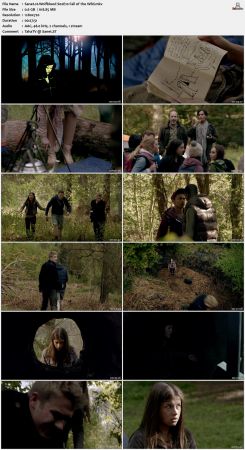 Wolfblood 2012 S02 720p AMZN WEBRip x264-IC