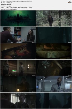 Swamp Thing S01 480p x264-mSD