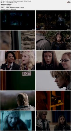 Wolfblood 2012 S02 720p AMZN WEBRip x264-IC