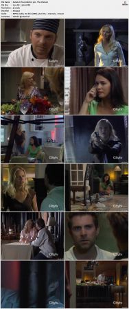 The Collector S03 DVDRip XViD-NOGRP