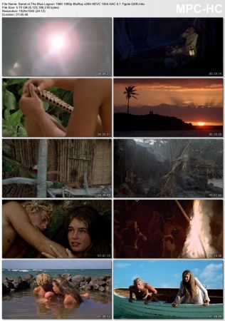 The Blue Lagoon 1980 1080p BluRay x265 HEVC 10bit AAC 5.1 Tigole QXR