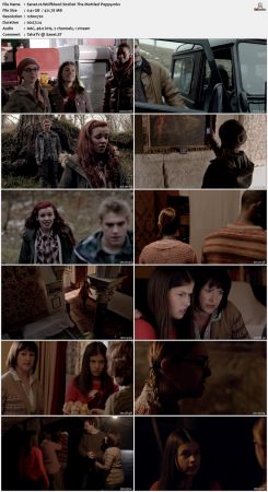 Wolfblood 2012 S02 720p AMZN WEBRip x264-IC