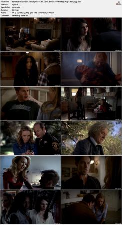 True Blood S06 BluRay 10Bit 1080p DD5.1 H265-d3g