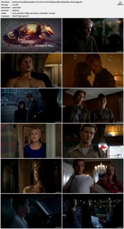True Blood S05 BluRay 10Bit 1080p DD5.1 H265-d3g