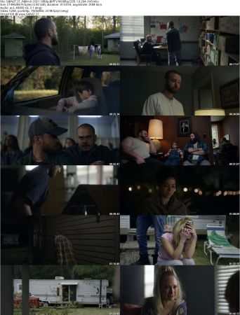 Palmer 2021 1080p APTV WEBRip DD5.1 X264-EVO