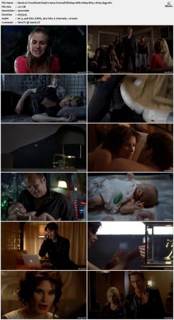 True Blood S05 BluRay 10Bit 1080p DD5.1 H265-d3g