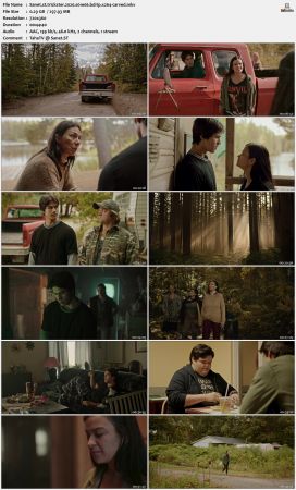 Trickster 2020 S01 BDRip x264-CARVED