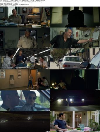 The Little Things 2021 1080p WebDL X264 AC3 WARRIORS mp4