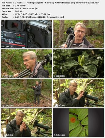 Close-Up Nature Photography: Beyond the Basics