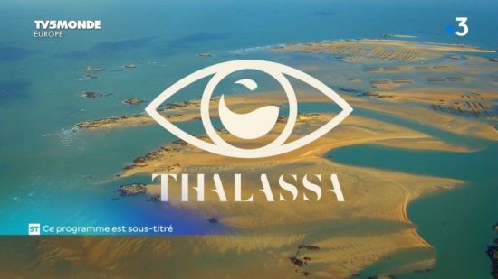 TV5Monde Thalassa - De Cherbourg aux îles Anglo-Normandes (2020) 720p x265 AAC MVGroup