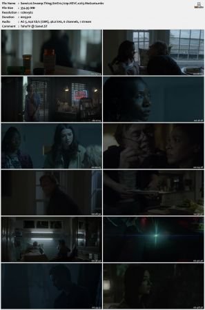 Swamp Thing S01 720p x265-MeGusta