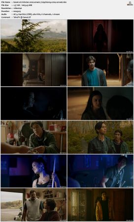 Trickster 2020 S01 720p BluRay x264-CARVED