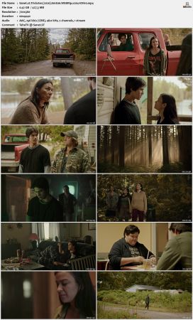 Trickster 2020 S01 WEBRip x264-ION10