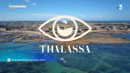 TV5Monde Thalassa - De Noirmoutier à Oléron (2020) 720p x265 AAC MVGroup