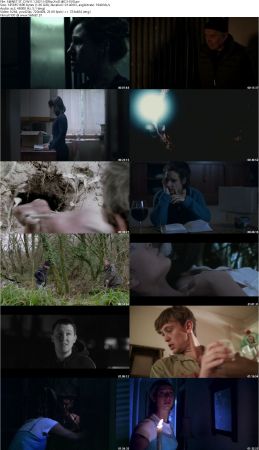 Dark Whispers Volume 1 2021 HDRip XviD AC3-EVO