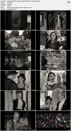 WandaVision S01E02 1080p WEBRip HEVC x265-MeGusta