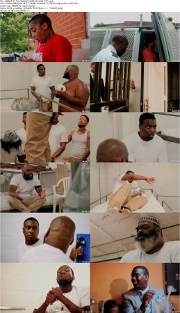 The Bid 2021 WEB-DL x264-FGT